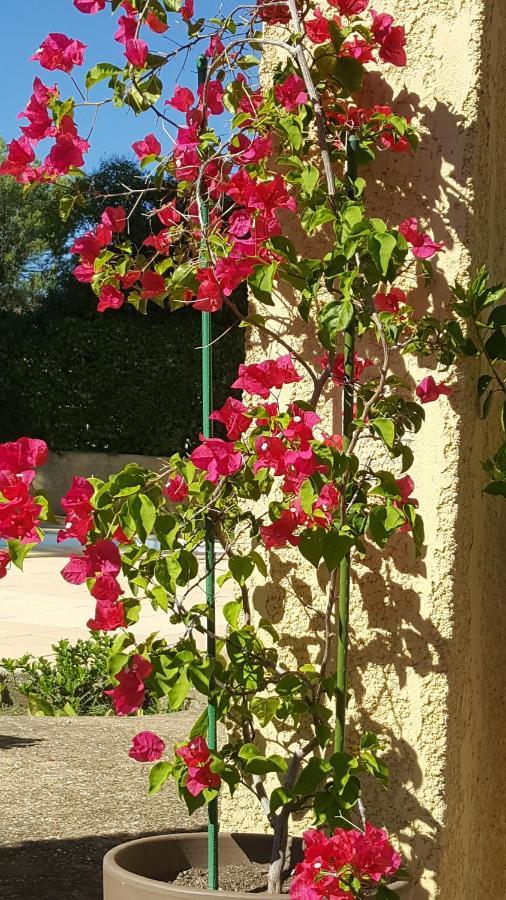 Bed and Breakfast La demeure d'Hélice Langlade Exterior foto